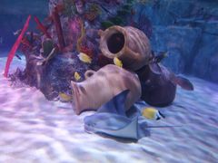 -沈阳海洋探索中心