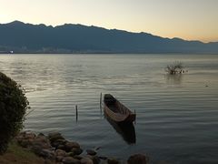 -野菌皇海景野生菌火锅(滨海大道店)