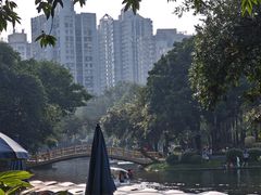 -晓港公园