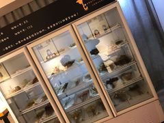 -长颈鹿的口袋钵钵鸡(市南店)