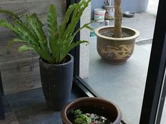 -囿面传统制面馆(中央路店)