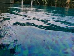 -厦门日月谷温泉渡假村