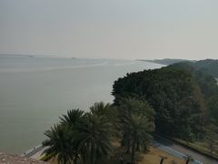 -大湾区中央湿地公园