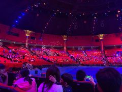 -珠海横琴长隆《卡卡虎奇遇记》