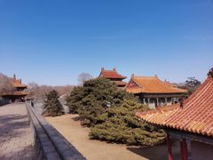 -北陵公园