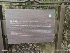 -牛背梁国家森林公园