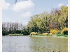 -新江湾城公园
