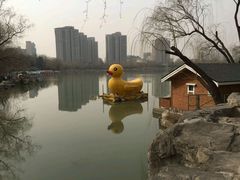 -紫竹院公园冰场