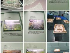 -上海城市规划展示馆