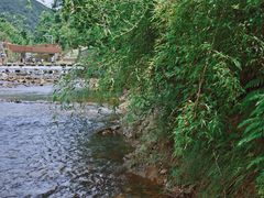 -北仑森林植物园