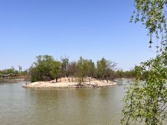 -盐城丹顶鹤湿地生态旅游区