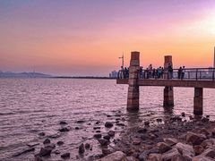 -深圳湾公园(南山区)