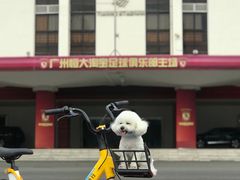 -天河体育中心
