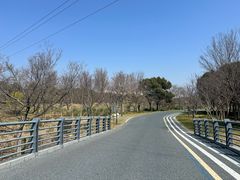 -贡湖湾湿地公园