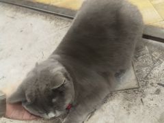 -么么咖啡(燕郊店)