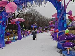 -沈阳奥体冰雪嘉年华