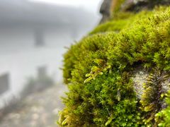 -明月山风景名胜区
