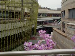 -嘉定宝龙广场