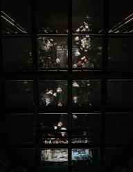 -DNA Wedding 婚礼记(上海店)