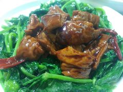 豆苗圈子-金米箩大酒店(五角场店)