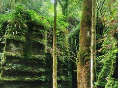 -梭布垭石林景区