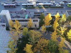 -北京电力医院