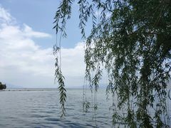 -大理洱海