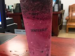 -森茶(湛江万达店)