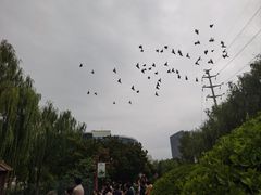 -水车博览园