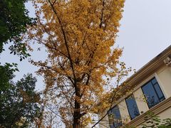 -两江幸福广场
