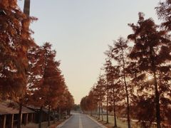 -祝甸砖窑文化馆