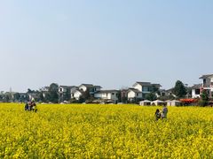 -桤木河湿地公园