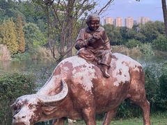 -观山湖公园