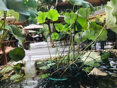 -晶泽丽琅·鱼鲜川菜(川师店)
