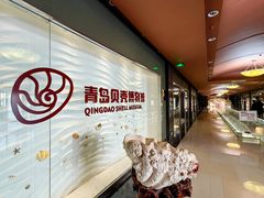 -青岛贝壳博物馆