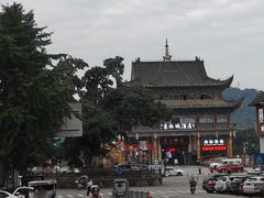 -老字号怡玺·藿香雅鱼(20年雅安店)