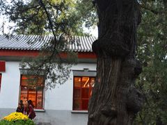 景点-双清别墅