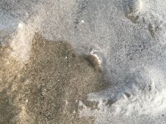 -南汇新城海滩