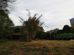 -华雅花园大酒店