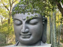 -杭州植物园