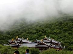 -黄龙山原始森林景区