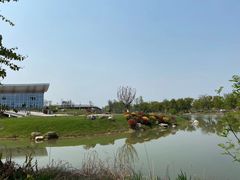 -桤木河湿地公园