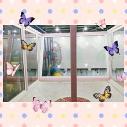 -魔力嘟嘟城(西溪欢乐城店)
