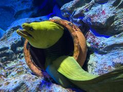 -新加坡海洋生态馆