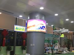 -春秋旅游航空(西藏路分部)