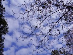 -黄公望隐居地