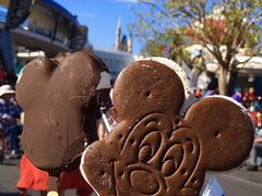 -奥兰多迪士尼动物王国乐园