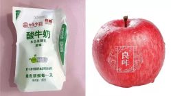 -良咔瘦身·减脂塑形