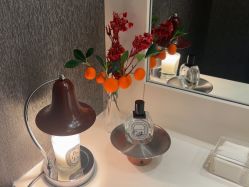 -丽妍雅集 Rubis SPA