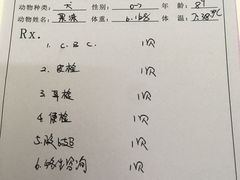 -中农大我爱我爱24h动物医院·中医针灸·猫专科·骨科医疗中心(双井店)